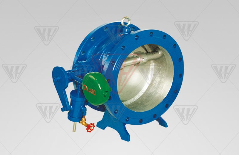 Butterfly cushion check valve 