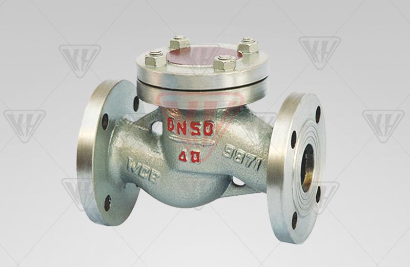 Liquefied gas check valve