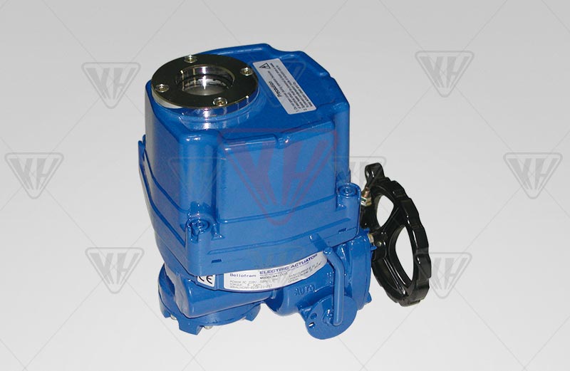 Explosion-proof electric actuator 